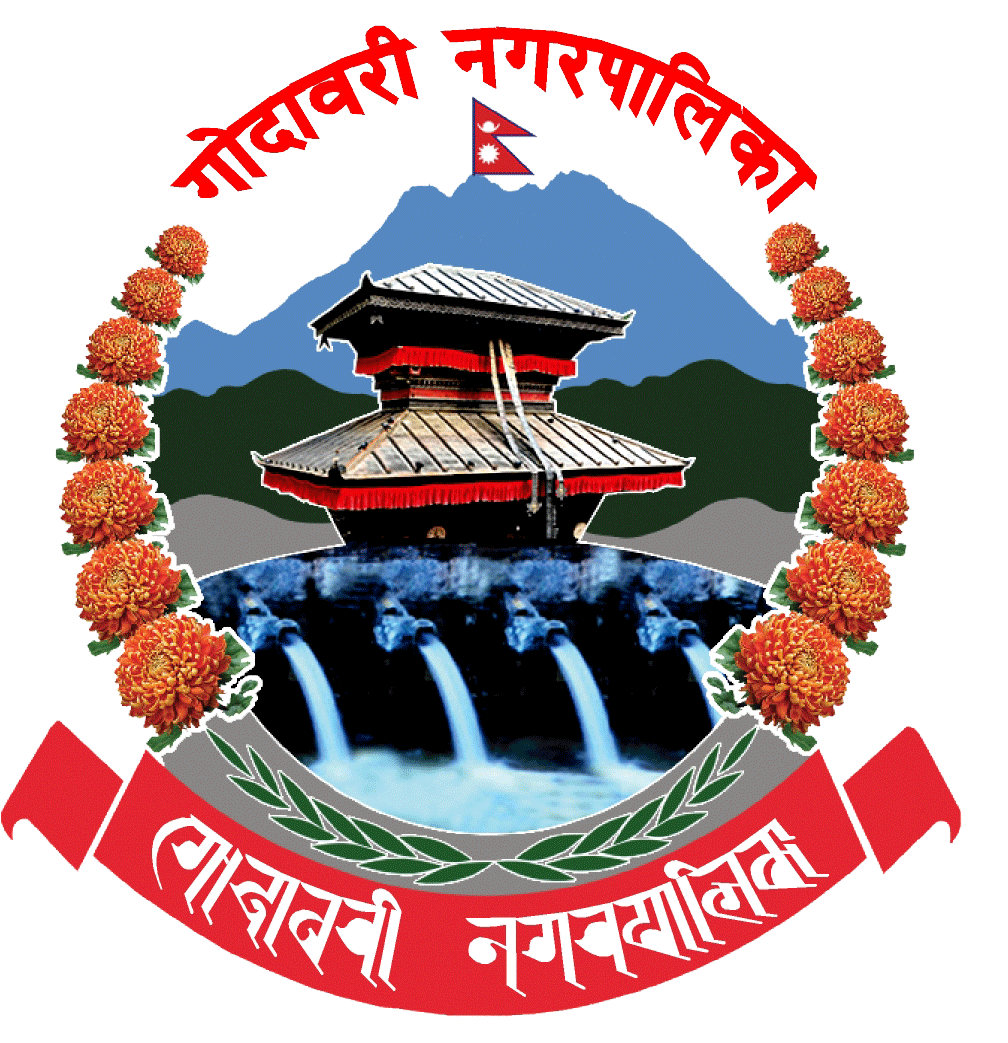 Local Government Logo